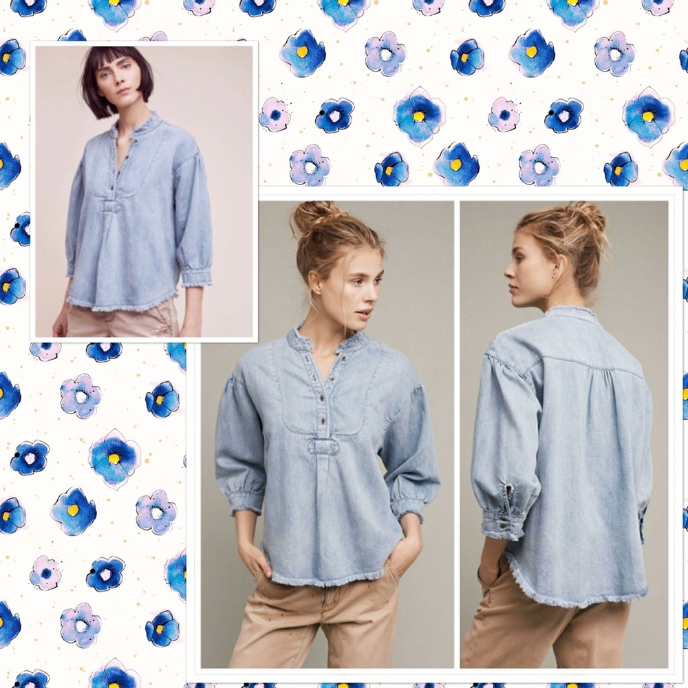 NWOT Anthropologie Holding Horses Chambray Henley